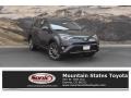 Magnetic Gray Metallic - RAV4 Limited AWD Photo No. 1