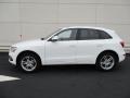 Ibis White - Q5 2.0 TFSI Premium quattro Photo No. 2