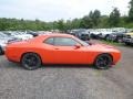 Go Mango - Challenger R/T Photo No. 6