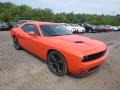 Go Mango - Challenger R/T Photo No. 7