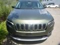 2019 Olive Green Pearl Jeep Cherokee Limited 4x4  photo #7