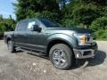 2018 Guard Ford F150 XLT SuperCrew 4x4  photo #9