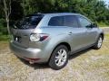 Liquid Silver Metallic - CX-7 s Touring AWD Photo No. 7