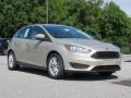 White Gold - Focus SE Hatch Photo No. 1