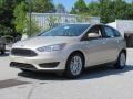 White Gold - Focus SE Hatch Photo No. 3