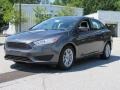 Magnetic - Focus SE Sedan Photo No. 3