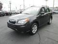 Dark Gray Metallic - Forester 2.5i Photo No. 2