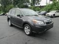 Dark Gray Metallic - Forester 2.5i Photo No. 4