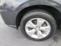 Dark Gray Metallic - Forester 2.5i Photo No. 22