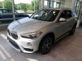 Glacier Silver Metallic - X1 xDrive28i Photo No. 3