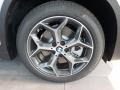 Glacier Silver Metallic - X1 xDrive28i Photo No. 5
