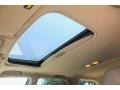 Mesa Beige Metallic - MDX Touring Photo No. 16