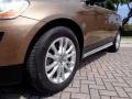 Terra Bronze Metallic - XC60 T6 AWD Photo No. 44