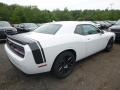 White Knuckle - Challenger R/T Scat Pack Photo No. 6