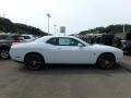 White Knuckle - Challenger 392 HEMI Scat Pack Shaker Photo No. 6