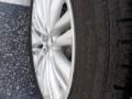 Silver Lining Metallic - ES 350 Photo No. 8