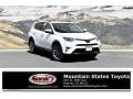 Blizzard White Pearl - RAV4 Limited AWD Photo No. 1