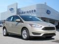 White Gold - Focus SE Hatch Photo No. 1