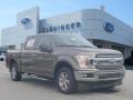 Stone Gray - F150 XLT SuperCrew Photo No. 1