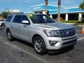 2018 Ingot Silver Ford Expedition Limited Max  photo #7