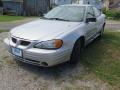 Galaxy Silver Metallic - Grand Am SE Sedan Photo No. 5