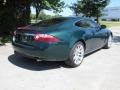 Jaguar Racing Green Metallic - XK XK8 Coupe Photo No. 7