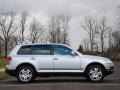 Reflex Silver Metallic - Touareg V8 Photo No. 28