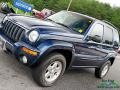 2002 Patriot Blue Pearlcoat Jeep Liberty Limited 4x4  photo #20