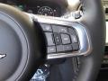 Ebony Steering Wheel Photo for 2019 Jaguar F-PACE #128670178