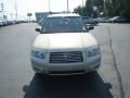 Champagne Gold Opal - Forester 2.5 X Photo No. 3
