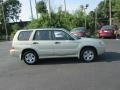 Champagne Gold Opal - Forester 2.5 X Photo No. 5
