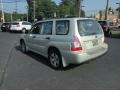 Champagne Gold Opal - Forester 2.5 X Photo No. 8