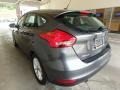 Magnetic - Focus SE Hatch Photo No. 3