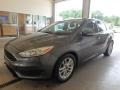 Magnetic - Focus SE Hatch Photo No. 4