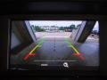 Magnetic - Focus SE Hatch Photo No. 12