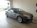 Magnetic - Focus SE Sedan Photo No. 1