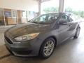 Magnetic - Focus SE Sedan Photo No. 4