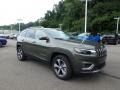 2019 Olive Green Pearl Jeep Cherokee Limited 4x4  photo #7