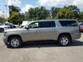 Pepperdust Metallic - Suburban LS 4WD Photo No. 3