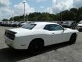White Knuckle - Challenger SXT Photo No. 5