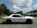 White Knuckle - Challenger SXT Photo No. 6