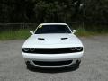 White Knuckle - Challenger SXT Photo No. 8