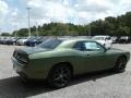 F8 Green - Challenger SXT Photo No. 5