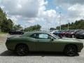 F8 Green - Challenger SXT Photo No. 6
