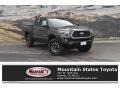 Magnetic Gray Metallic 2018 Toyota Tacoma Gallery
