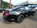 2019 Shadow Black Ford Mustang GT Fastback  photo #2