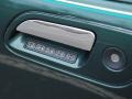 Medium Charcoal Green Metallic - Continental  Photo No. 17