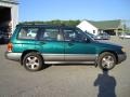 Acadia Green - Forester S Photo No. 6