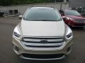 2018 White Gold Ford Escape SEL 4WD  photo #4