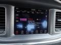 Billet Metallic - Charger SXT Photo No. 7